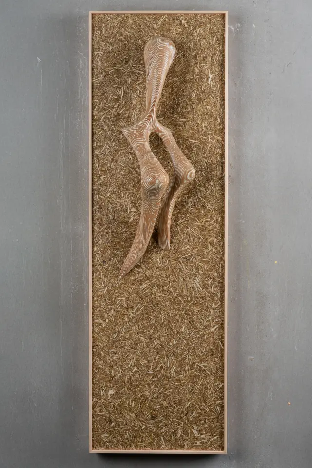 Akt- Lärche/Heu/Wasserlack